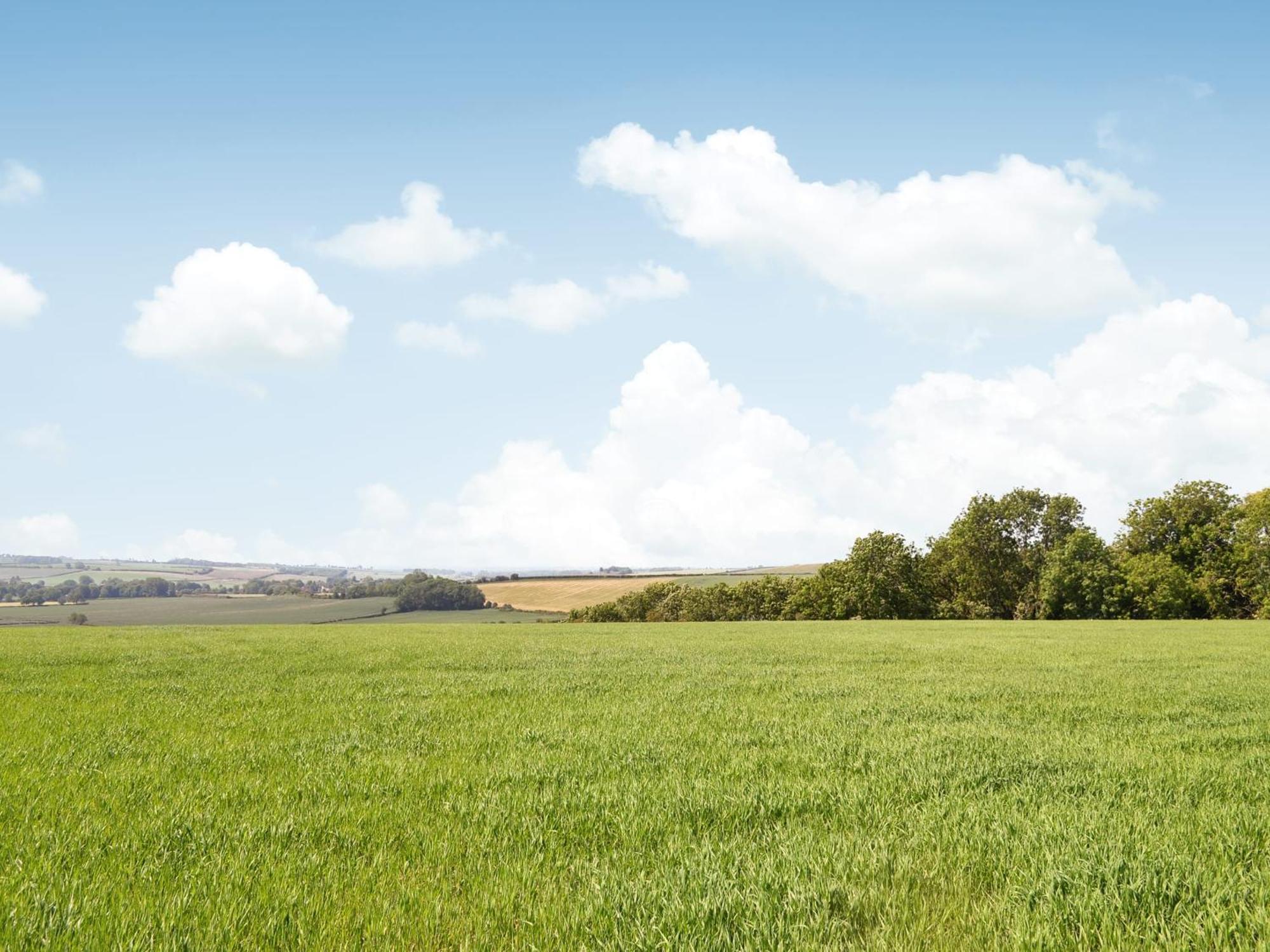 Just Janes Hangout Miningsby ภายนอก รูปภาพ